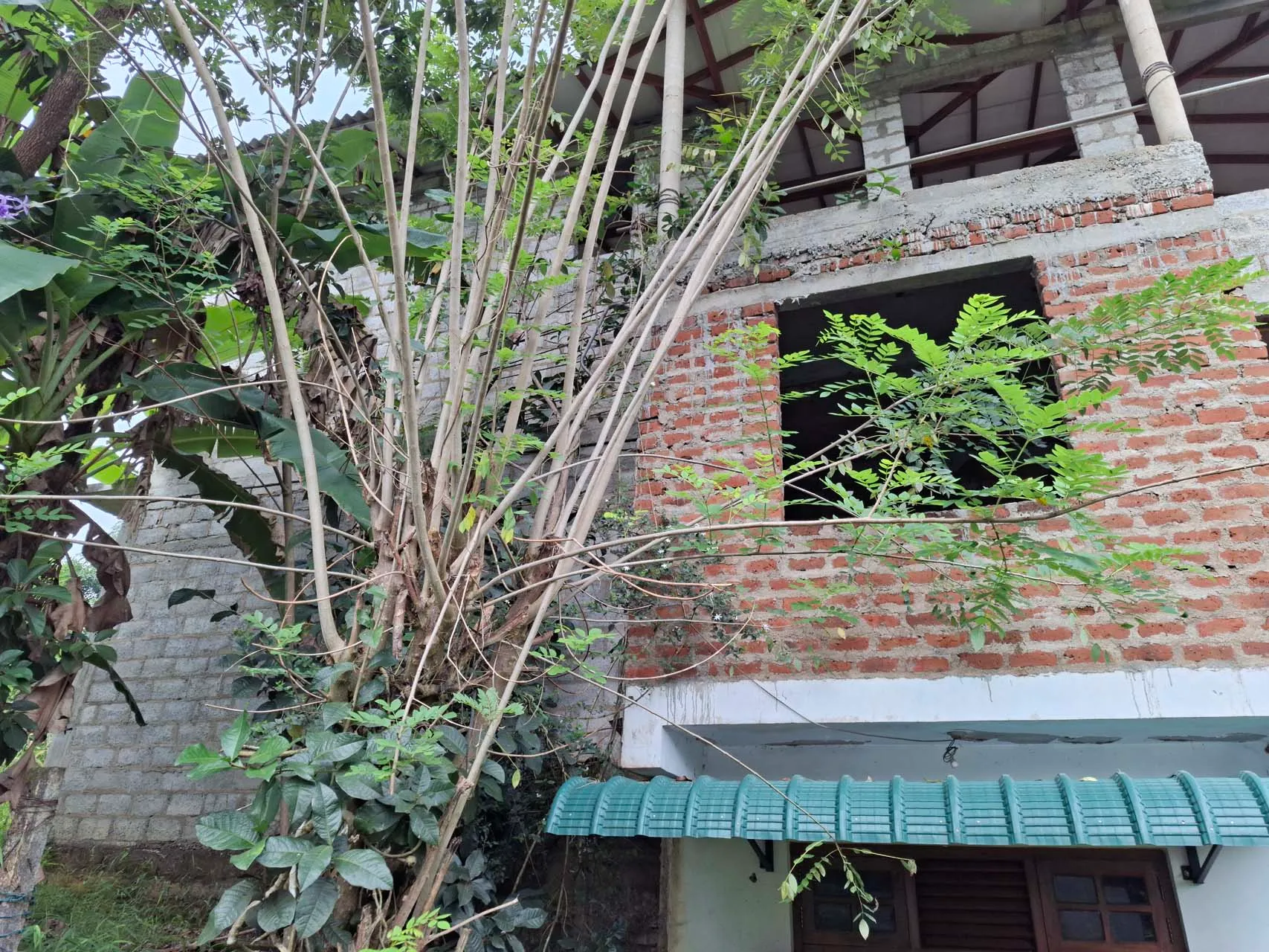 Ground-floor entrance area of the Balangoda property