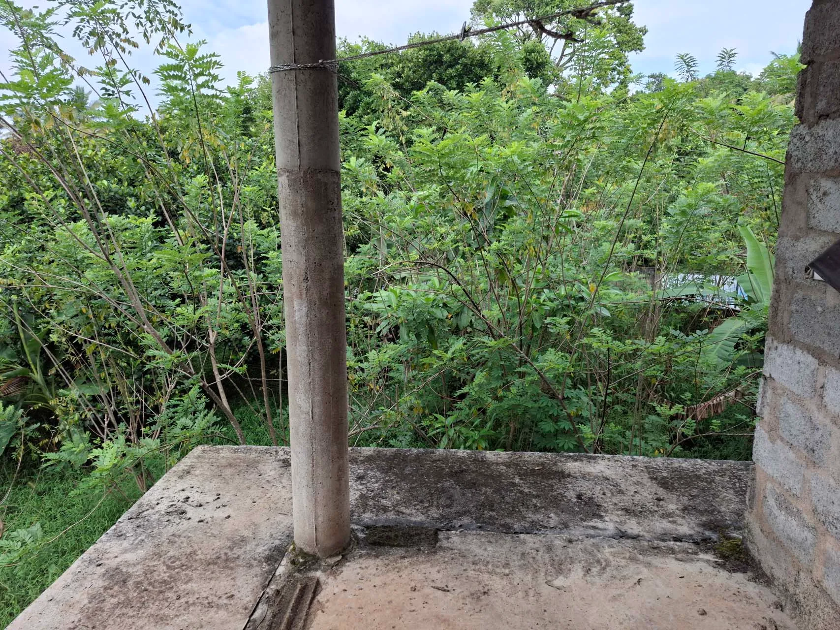 Open top-floor balcony overlooking dense green trees